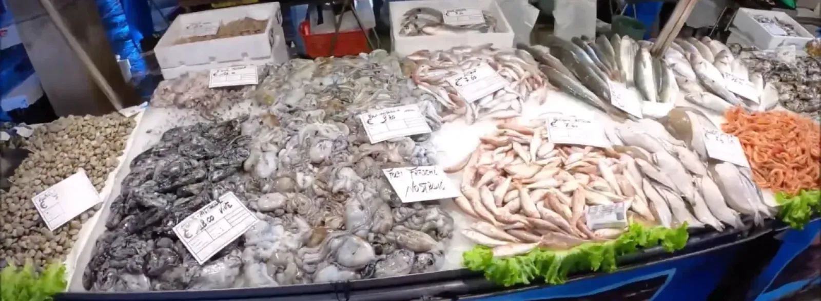 The history of the Rialto fish market in Venice